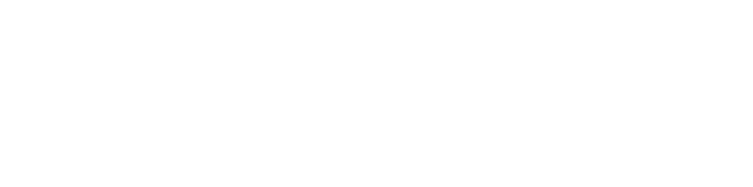 Logo Plastimed vertical